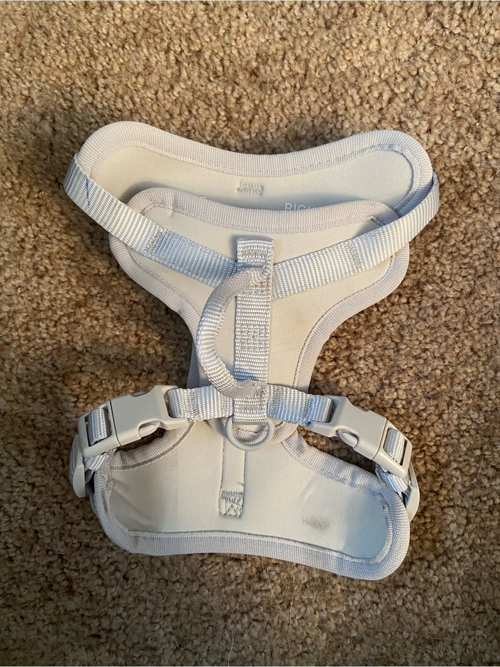 Adjustable White Padded Dog Harness with Secure Buckles